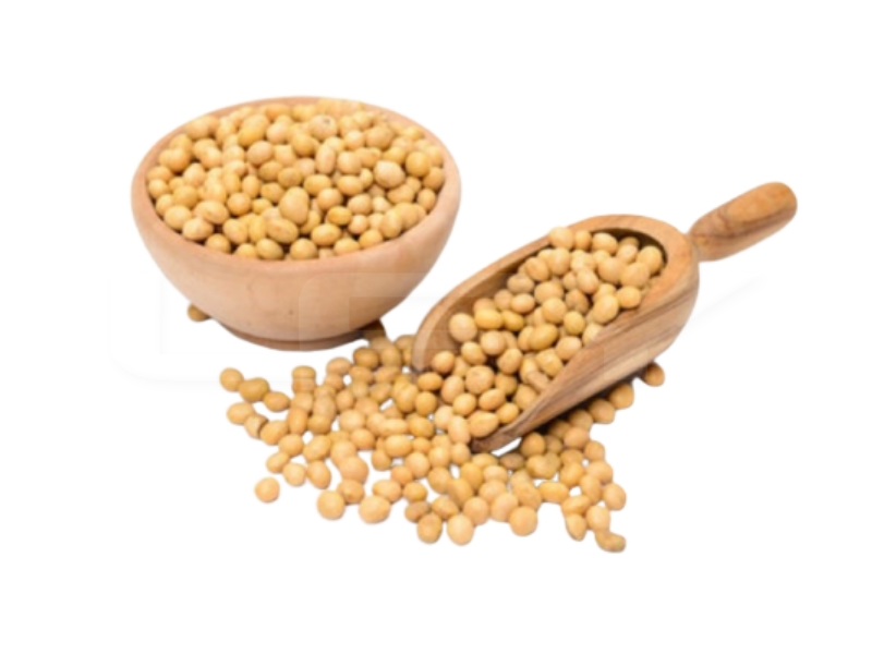 Kacang Soya / Soybean / 黄豆
